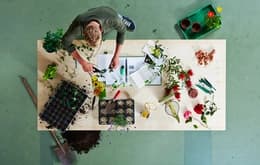 Ausbildung zum Florist/in EFZ - Arbeitssituation, Lohn und Weiterbildungen, Schnupperlehren und freie Lehrstelle für 2026 finden. Florist/in EFZ